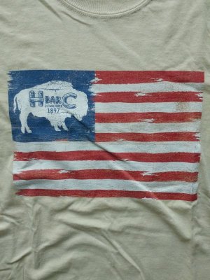 画像3: 【H BAR C】"American Buffalo Flag Tee"