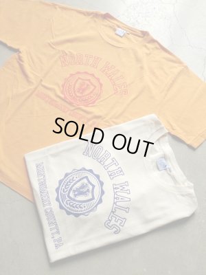 画像1: 【ARTEX】"North Wales S/S Tee"