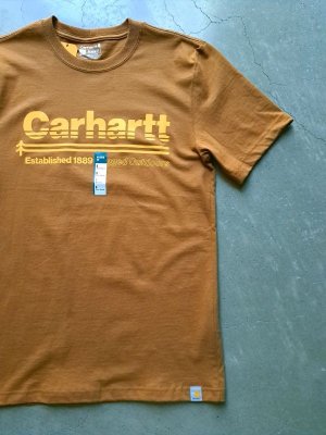 画像3: 【carhartt】"Relaxed Fit Heavyweight Outdoors Graphic T-Shirt / Carhartt Brown"