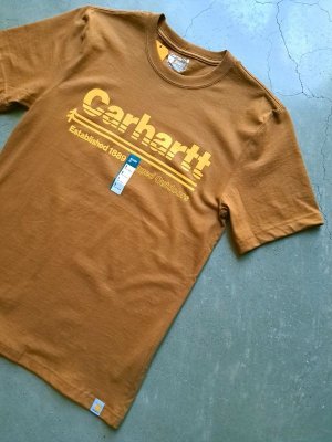 画像1: 【carhartt】"Relaxed Fit Heavyweight Outdoors Graphic T-Shirt / Carhartt Brown"
