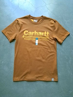 画像2: 【carhartt】"Relaxed Fit Heavyweight Outdoors Graphic T-Shirt / Carhartt Brown"