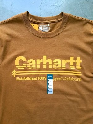 画像4: 【carhartt】"Relaxed Fit Heavyweight Outdoors Graphic T-Shirt / Carhartt Brown"