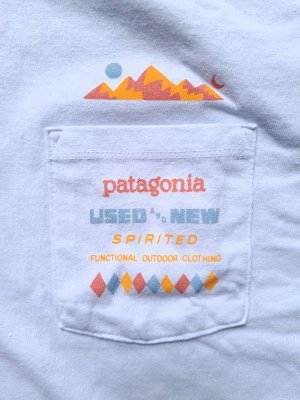 画像1: 【patagonia】"Spirited Seasons Pocket Responsibili-Tee"