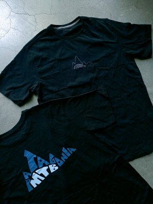 画像1: 【patagonia】”Berm Logo Responsibili-Tee”