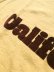 画像6: 【free rage】"Recycle cotton S/S Tee / California vol.1"