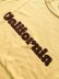 画像5: 【free rage】"Recycle cotton S/S Tee / California vol.1"