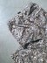 画像2: 【ROKX】"CAMOUFLAGE DRY SHORT (LEOPARD)"