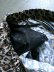 画像10: 【ROKX】"CAMOUFLAGE DRY SHORT (LEOPARD)"