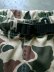 画像5: 【ROKX】"MG CAMOUFLAGE SHORT (DUCK CAMO)"