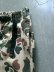 画像7: 【ROKX】"MG CAMOUFLAGE SHORT (DUCK CAMO)"