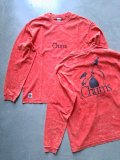 	【CHUMS】"Canyonlands Booby Bird Twins L/S T-Shirt / Red"