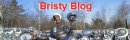 画像: Bristy Blog