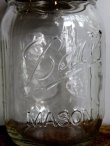 画像3: Ball "Mason Jar" 16oz Regular Mouse