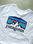 画像4: 【patagonia】"Fitz Roy Horizons Responsibili-Tee"