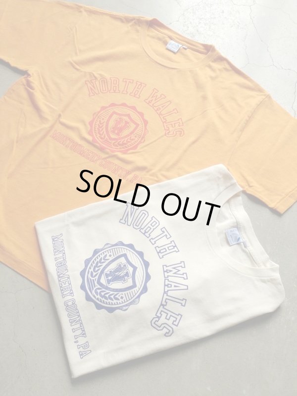 画像1: 【ARTEX】"North Wales S/S Tee"