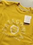 画像1: 【patagonia】"Clean Climb Hex Uprisal Crew Sweatshirt"