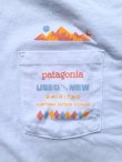 画像1: 【patagonia】"Spirited Seasons Pocket Responsibili-Tee"