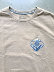 画像11: 【patagonia】"Dawn to Dusk Responsibili-Tee"