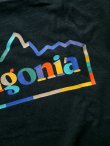 画像8: 【patagonia】"Unity Fitz Responsibili-Tee"