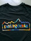 画像6: 【patagonia】"Unity Fitz Responsibili-Tee"