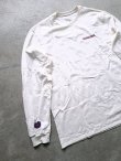 画像5: 【patagonia】"Chill Responsibili L/S Tee"