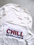 画像2: 【patagonia】"Chill Responsibili L/S Tee"