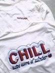 画像3: 【patagonia】"Chill Responsibili L/S Tee"