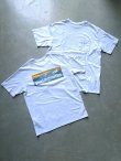 画像2: 【patagonia】”Boardshort Logo Pocket Responsibili-Tee”