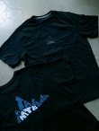 画像1: 【patagonia】”Berm Logo Responsibili-Tee”