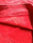 画像7: 【CHUMS】"Canyonlands Hurricane Top / Red"