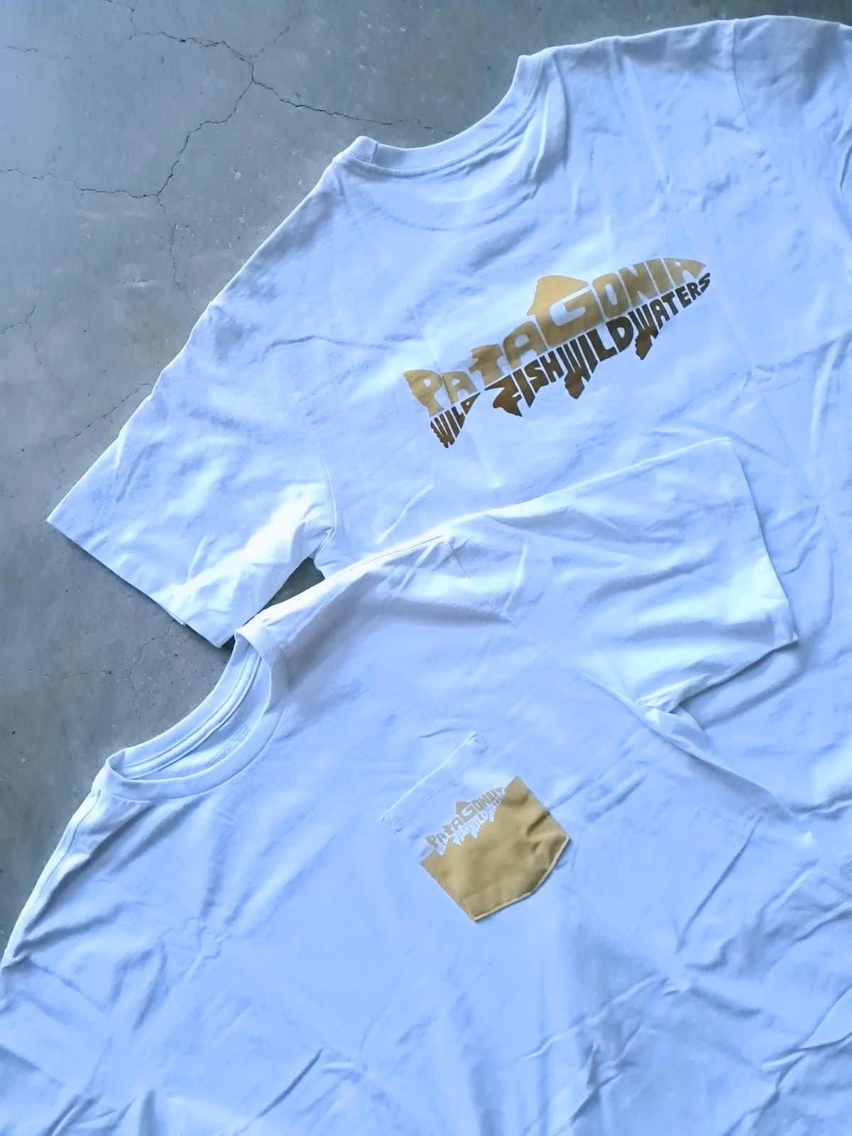 画像1: 【patagonia】"Wild Waterline Pocket Responsibili-Tee"